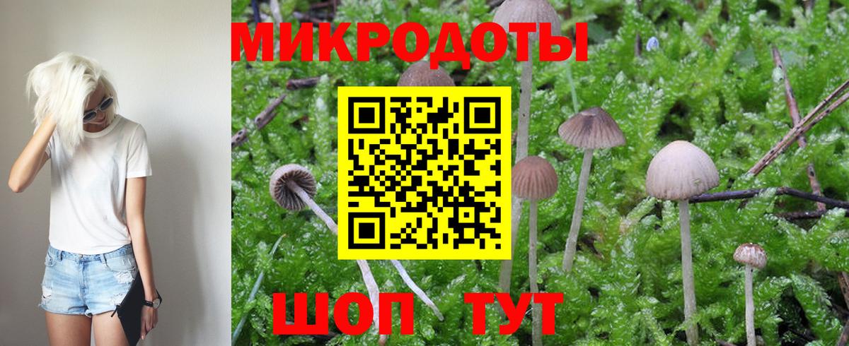 Галлюциногенные грибы мицелий Егорьевск